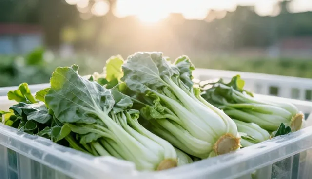 冷链配送中食材供应的设备维护适用情况与限制
